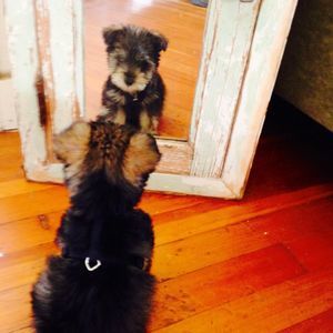 Meet your Posher, Lori